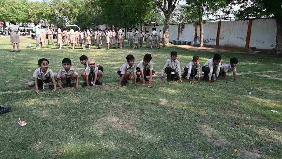 FROG RACE & ZIG-ZAG WEDNESDAY ACTIVITY -14