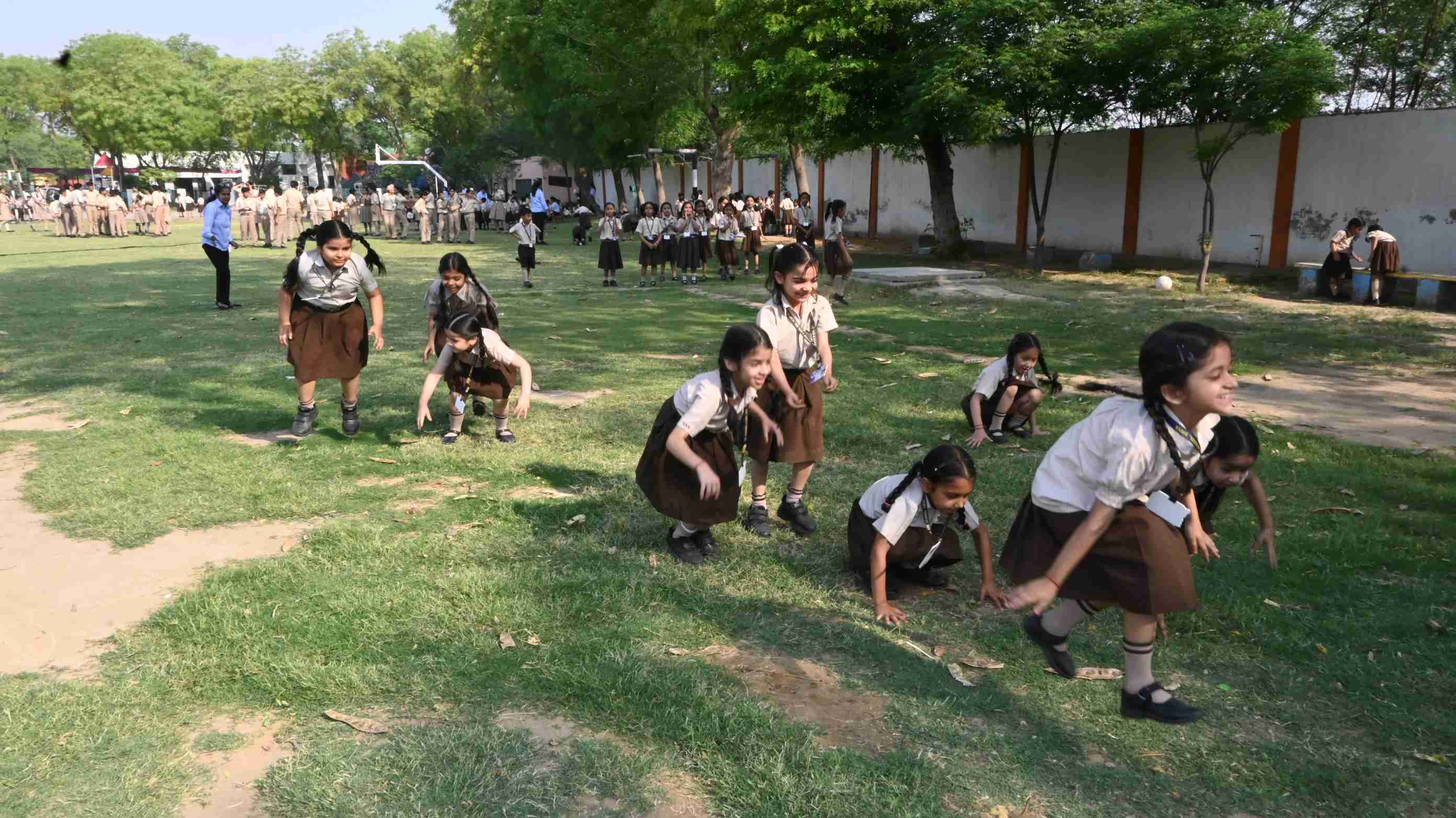 FROG RACE & ZIG-ZAG WEDNESDAY ACTIVITY -7